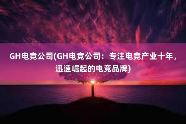 GH电竞公司(GH电竞公司：专注电竞产业十年，迅速崛起的电竞品牌)