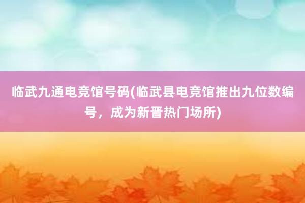 临武九通电竞馆号码(临武县电竞馆推出九位数编号，成为新晋热门场所)