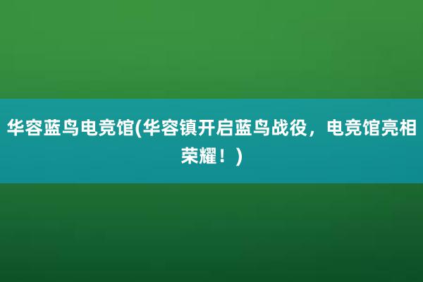 华容蓝鸟电竞馆(华容镇开启蓝鸟战役，电竞馆亮相荣耀！)