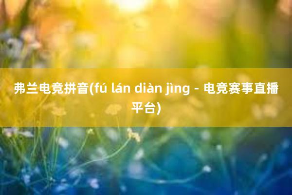 弗兰电竞拼音(fú lán diàn jìng - 电竞赛事直播平台)