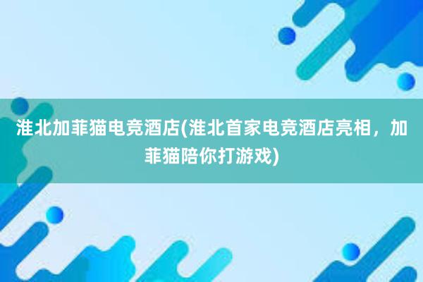 淮北加菲猫电竞酒店(淮北首家电竞酒店亮相，加菲猫陪你打游戏)