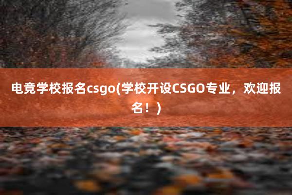 电竞学校报名csgo(学校开设CSGO专业，欢迎报名！)