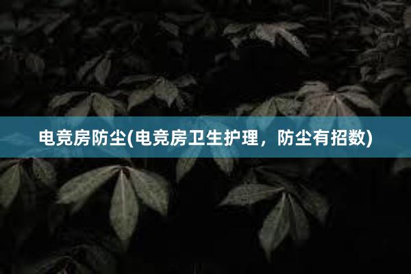 电竞房防尘(电竞房卫生护理，防尘有招数)