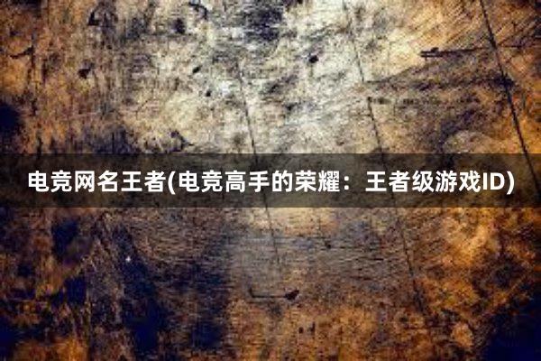 电竞网名王者(电竞高手的荣耀：王者级游戏ID)