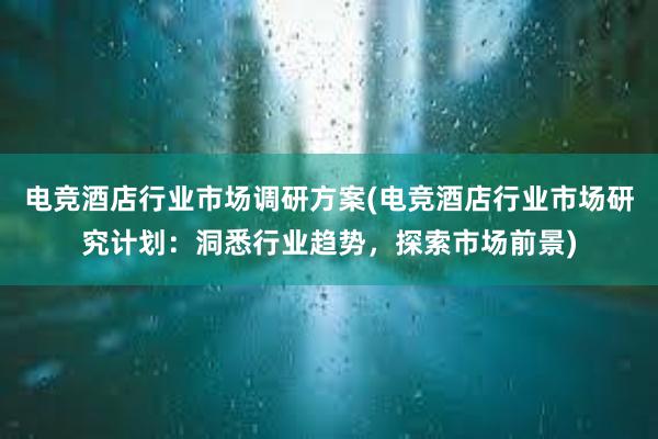 电竞酒店行业市场调研方案(电竞酒店行业市场研究计划：洞悉行业趋势，探索市场前景)