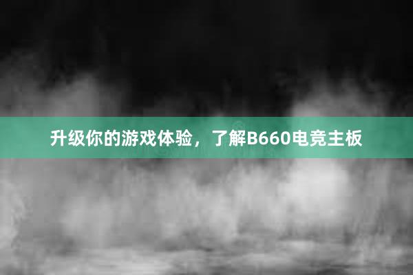 升级你的游戏体验，了解B660电竞主板