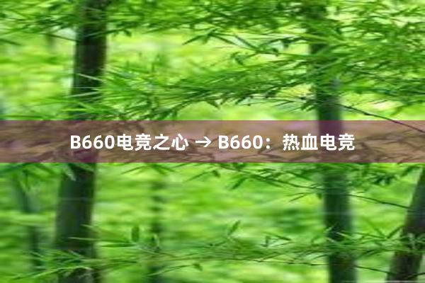 B660电竞之心 → B660：热血电竞