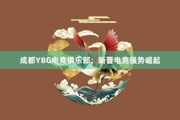 成都YBG电竞俱乐部：新晋电竞强势崛起