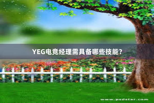 YEG电竞经理需具备哪些技能？