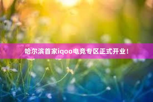 哈尔滨首家iqoo电竞专区正式开业！