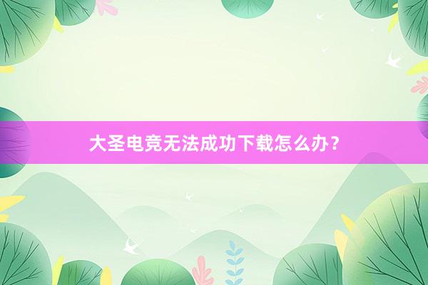 大圣电竞无法成功下载怎么办？