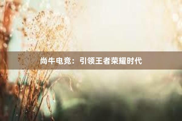 尚牛电竞：引领王者荣耀时代