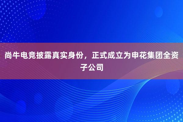 尚牛电竞披露真实身份，正式成立为申花集团全资子公司