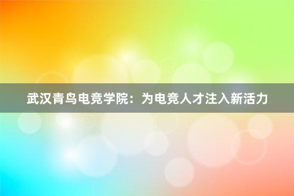 武汉青鸟电竞学院：为电竞人才注入新活力