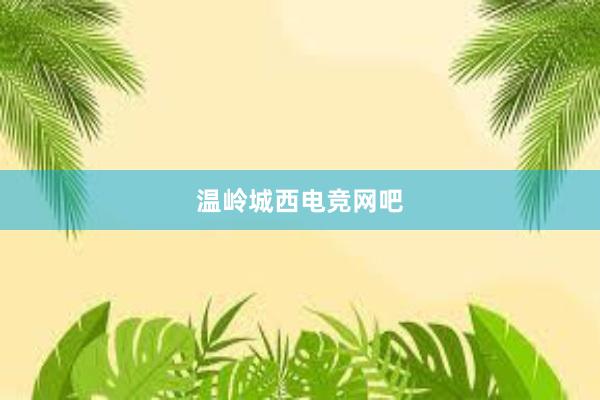 温岭城西电竞网吧