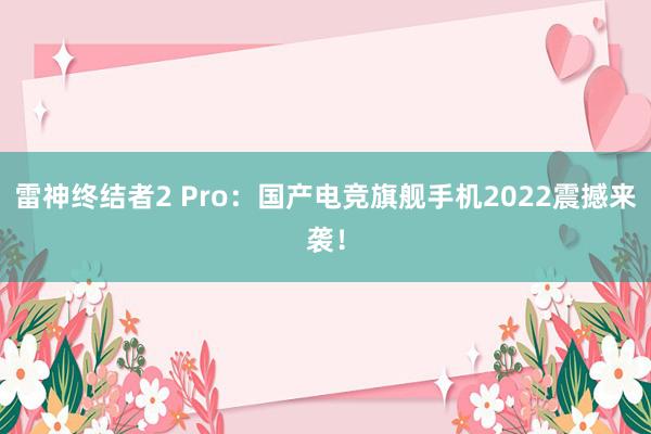 雷神终结者2 Pro：国产电竞旗舰手机2022震撼来袭！