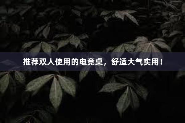 推荐双人使用的电竞桌，舒适大气实用！