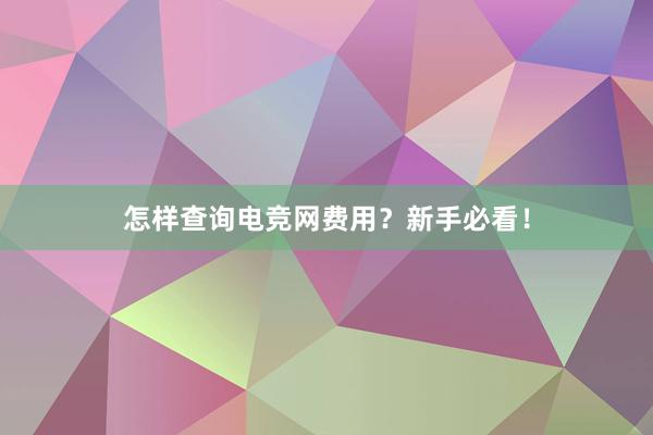 怎样查询电竞网费用？新手必看！